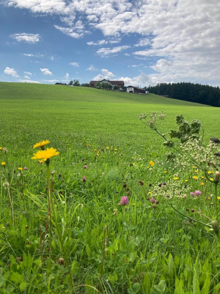 Plattenberger Hof Waging am See Exterior foto